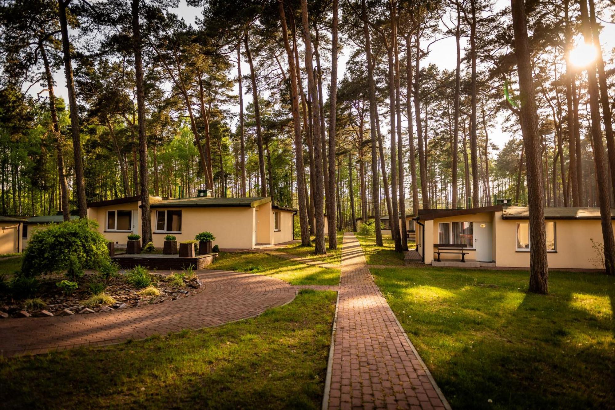 Domki Lesne Uroczysko Ustka Bagian luar foto